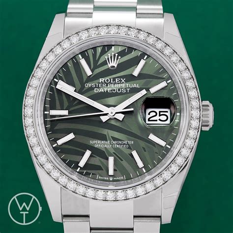 rolex modelo 126284rbr|Rolex 2684 champion.